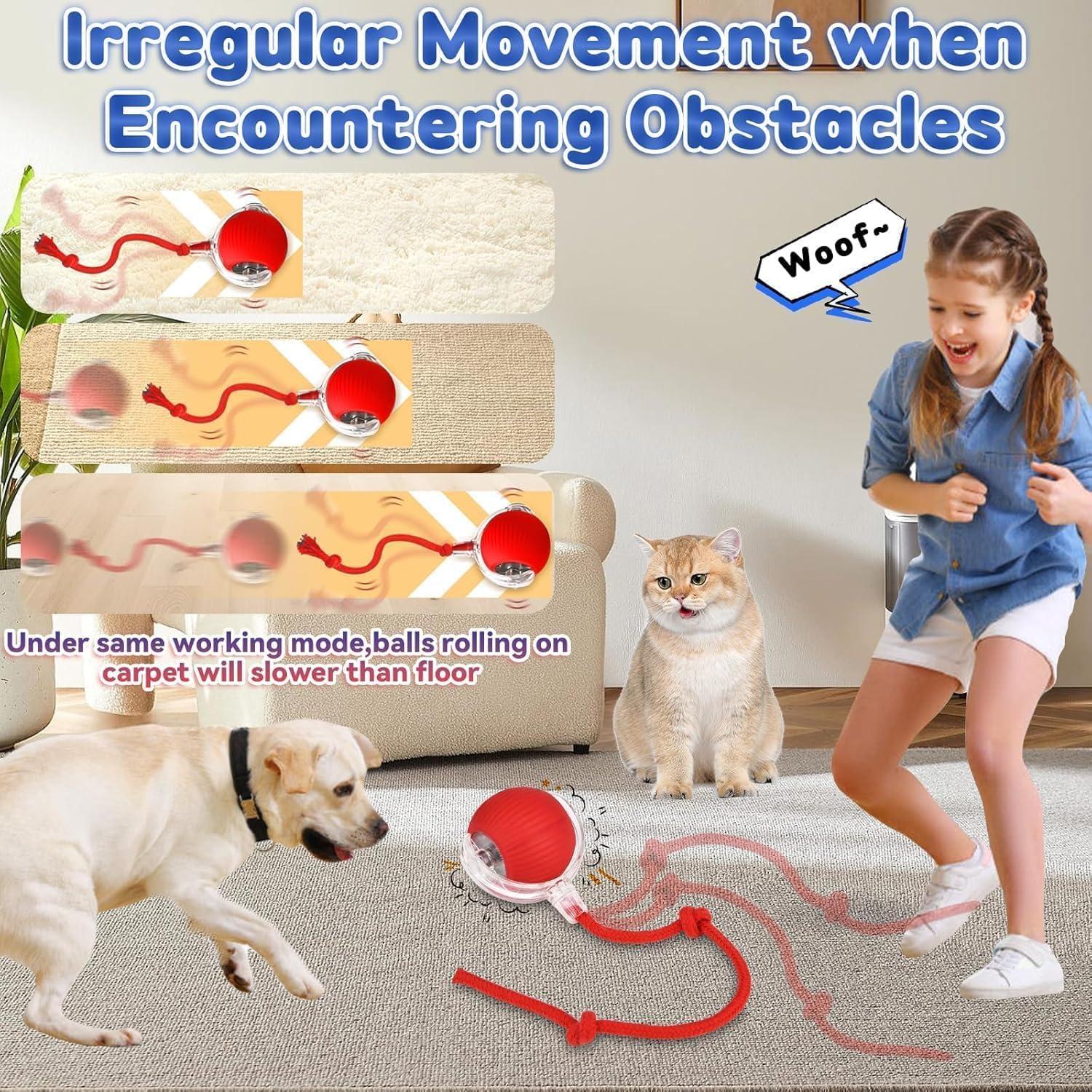 🐈Interactive Cat Dog Ball Toy