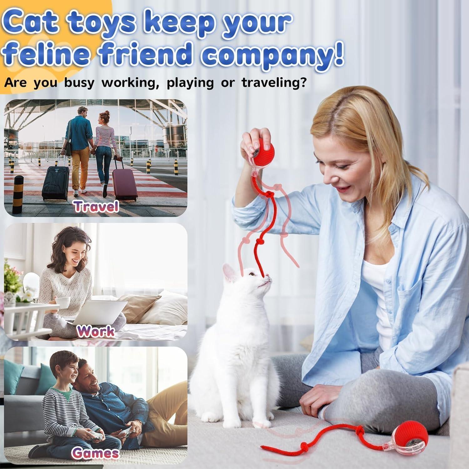 🐈Interactive Cat Dog Ball Toy