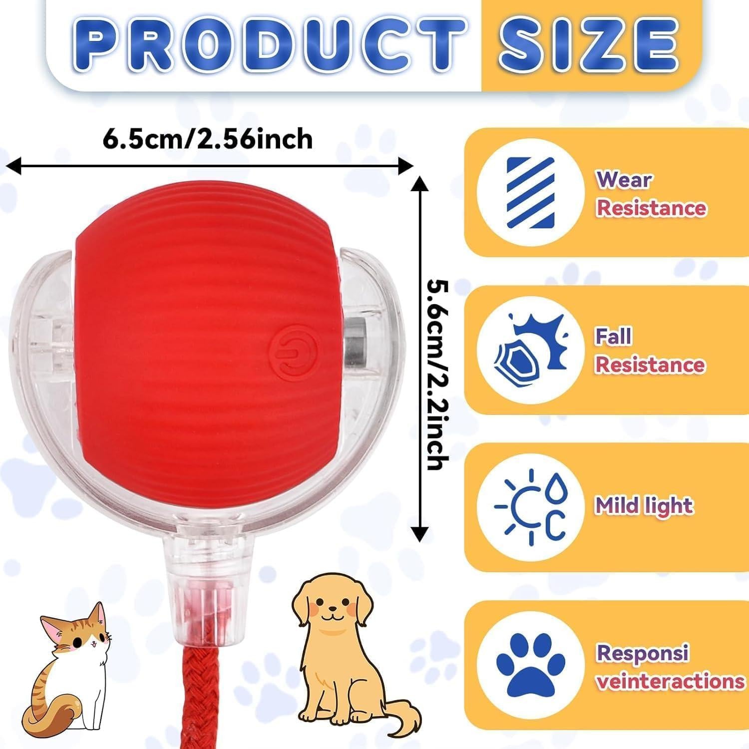🐈Interactive Cat Dog Ball Toy