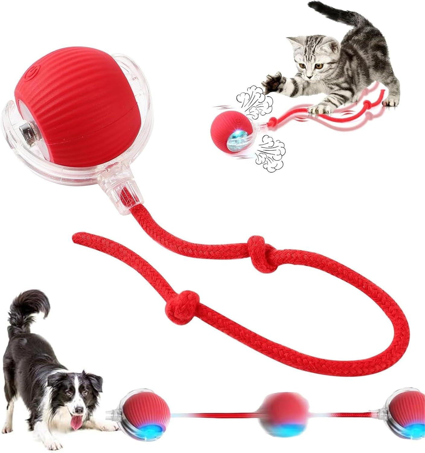 🐈Interactive Cat Dog Ball Toy