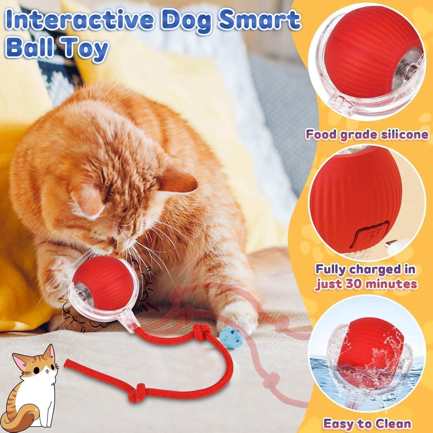 🐈Interactive Cat Dog Ball Toy