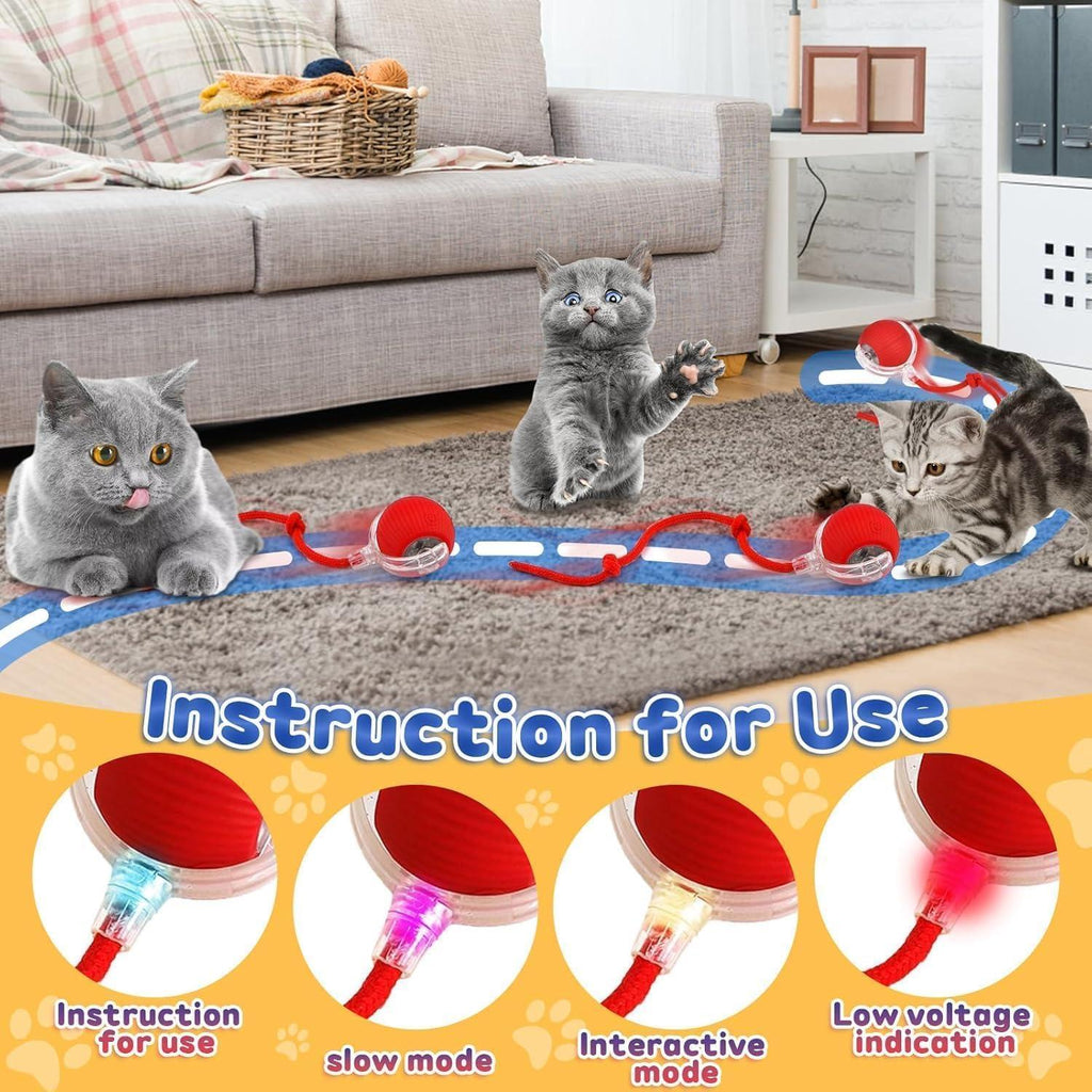 🐈Interactive Cat Dog Ball Toy