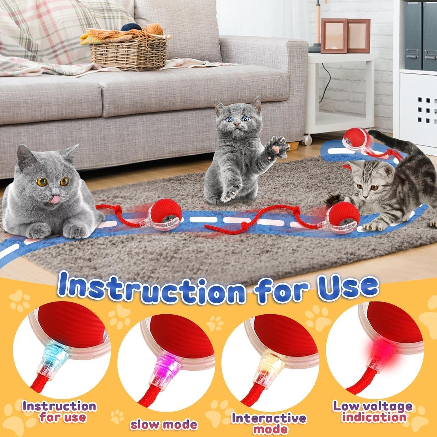 🐈Interactive Cat Dog Ball Toy