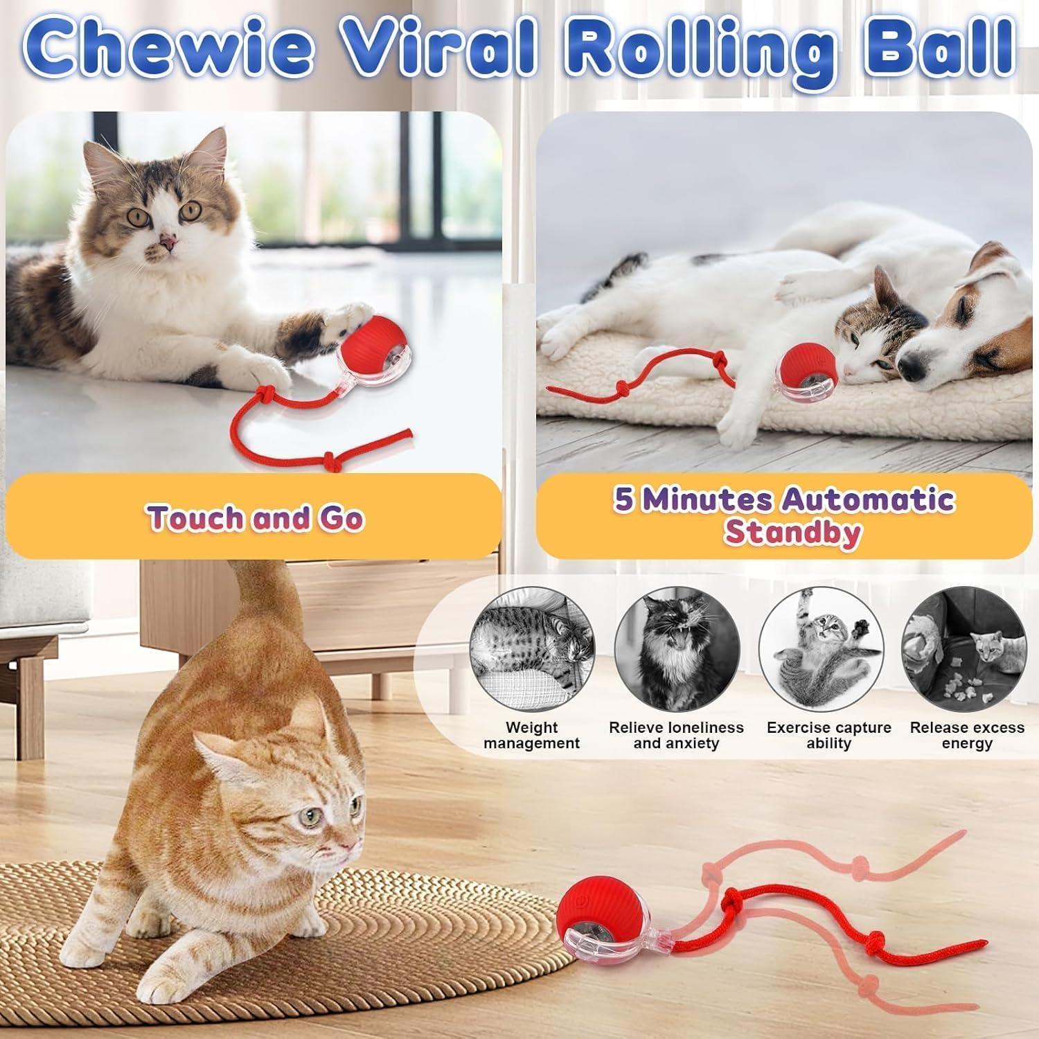 🐈Interactive Cat Dog Ball Toy
