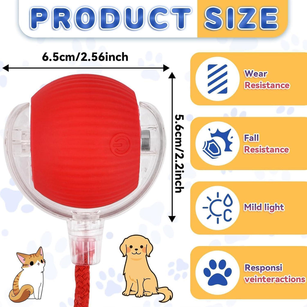 🐈Interactive Cat Dog Ball Toy