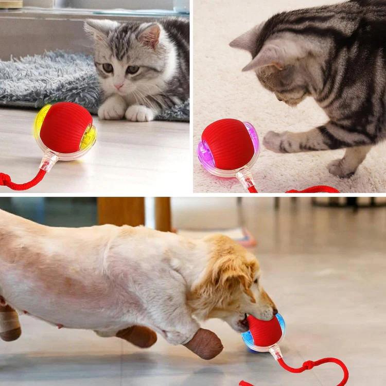 🐈Interactive Cat Dog Ball Toy