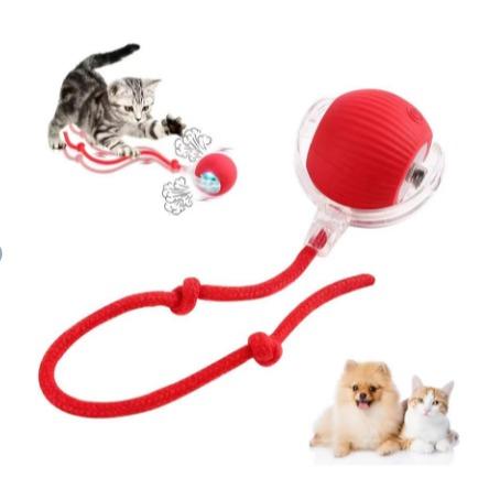 🐈Interactive Cat Dog Ball Toy