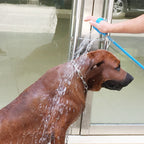 Duschaufsatz für Hunde (2-in-1) | Silikon-Peeling &amp; Wasserspray – Einfaches Abspülen, sanfte Massage, abnehmbarer Schlauchadapter